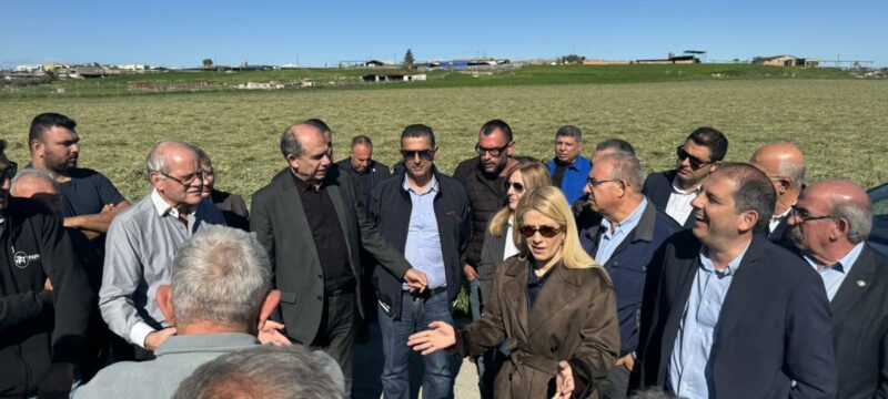 d0661472-d6b6-45df-bcd4-c179dc98e928