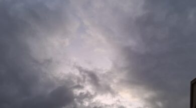 d0bd2aff-3c6e-4c0d-843d-36ce445a2da9 (1)