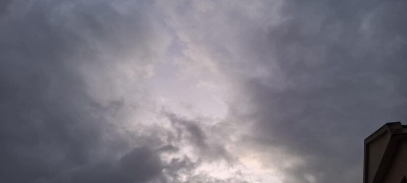 d0bd2aff-3c6e-4c0d-843d-36ce445a2da9 (1)