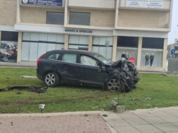 d8dda672-880a-4ac5-ac10-04d307e62987