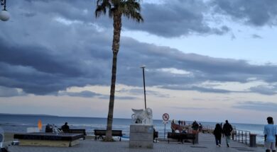 e00f4b36-4086-4663-8923-766fc07000a2