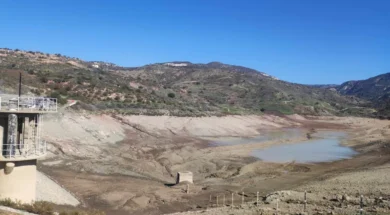 fragma-large_thumbnail