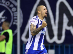 furtado-goal-anorthosis