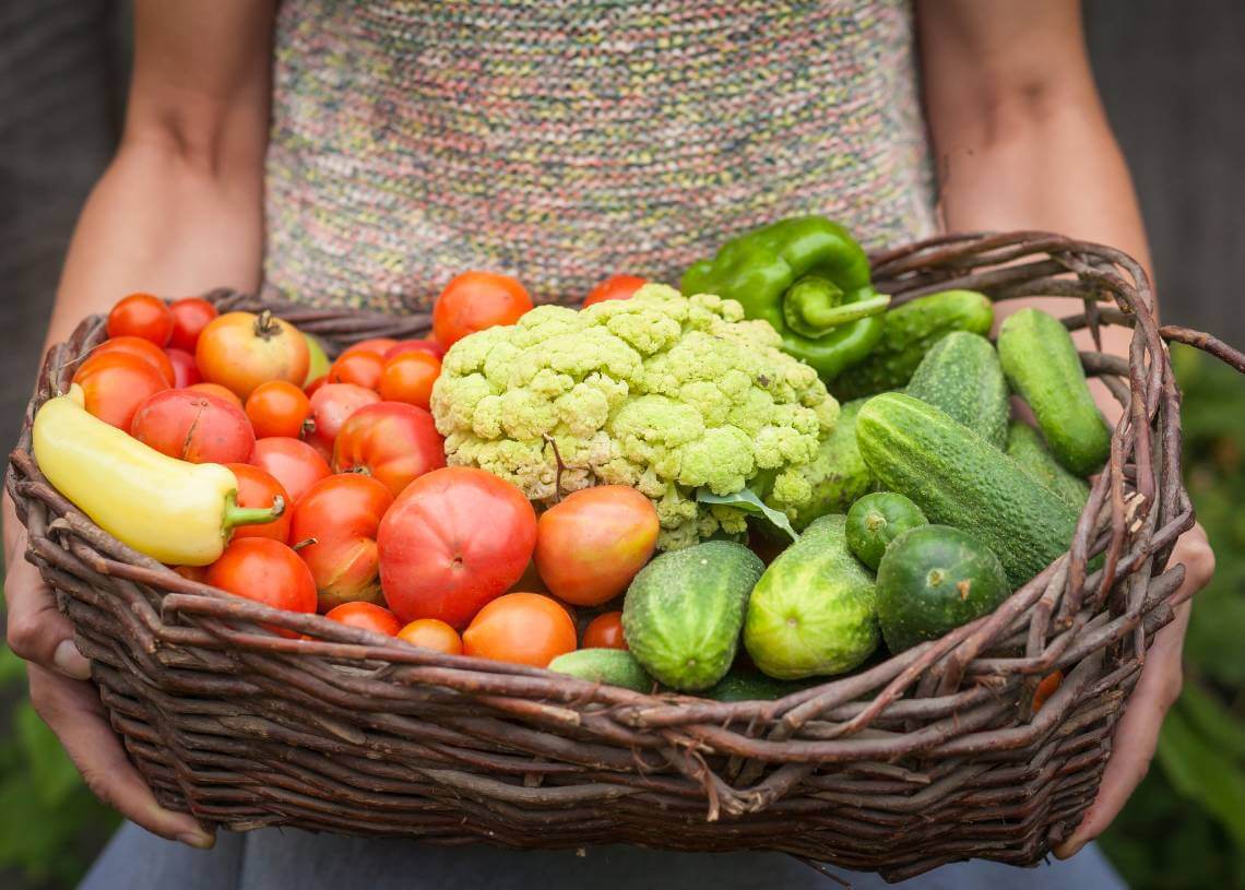 Εκδήλωση υψηλού επιπέδου για τα τρόφιμα φυτικής προέλευσης στην Κύπρο