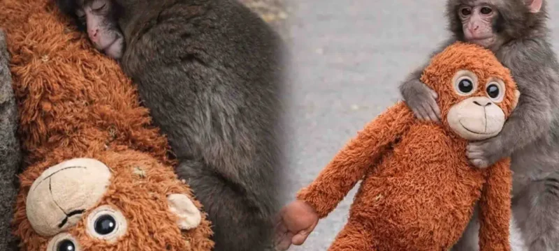 h-sygkinhtikh-istoria-toy-punch