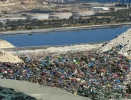 proti_skupidia_2_large_thumbnail