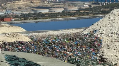 proti_skupidia_2_large_thumbnail