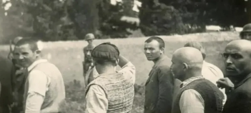 screenshot_2026_02_15_at_60232_pm-large_thumbnail