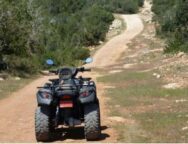 tetratroxisfg_1068x657