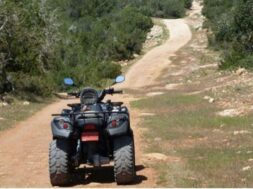 tetratroxisfg_1068x657