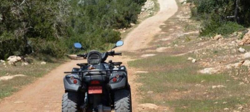 tetratroxisfg_1068x657