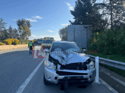 troxaio-oroklini-23-4