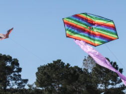 xartaetos-eurokinissi