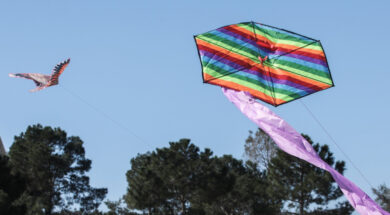 xartaetos-eurokinissi