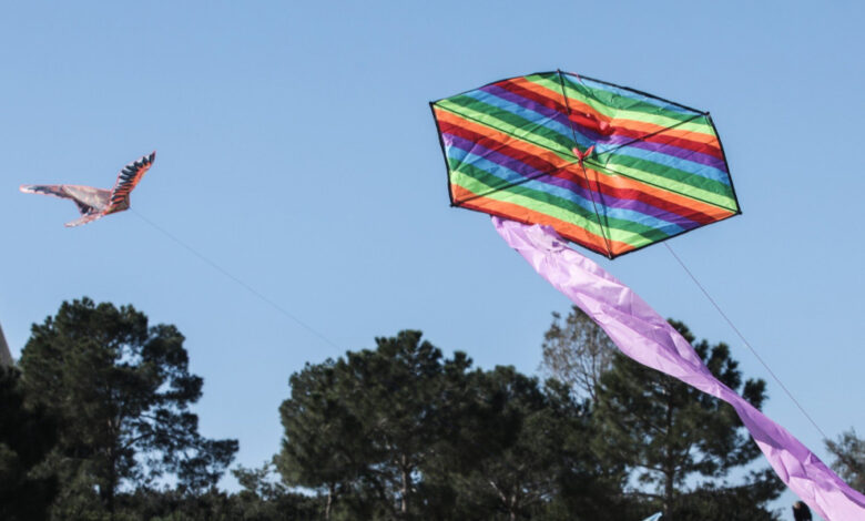 xartaetos-eurokinissi