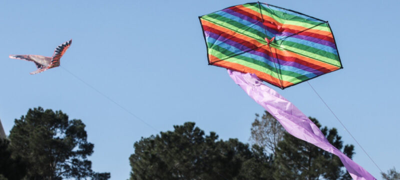 xartaetos-eurokinissi