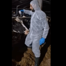 ΕΜΒΟΛΙΑΣΜΟΙ ΖΩΩΝ ΓΙΑ ΑΦΔΩΔΟΙ