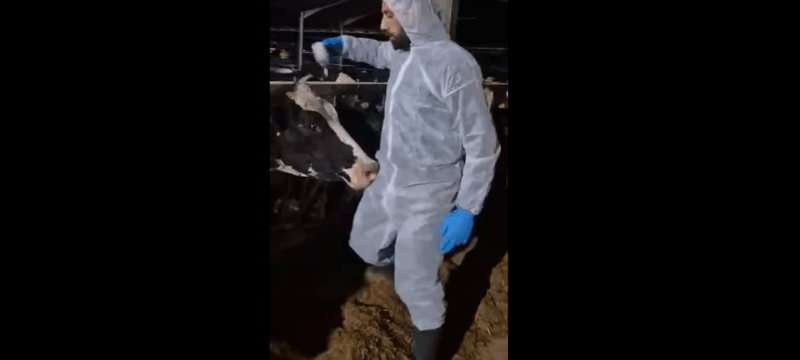 ΕΜΒΟΛΙΑΣΜΟΙ ΖΩΩΝ ΓΙΑ ΑΦΔΩΔΟΙ