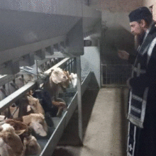 ΠΑΛΑΙΟΗΜΕΡΟΛΟΓΙΤΕΣ 2