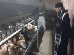 ΠΑΛΑΙΟΗΜΕΡΟΛΟΓΙΤΕΣ 2