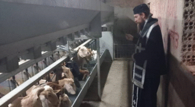 ΠΑΛΑΙΟΗΜΕΡΟΛΟΓΙΤΕΣ 2