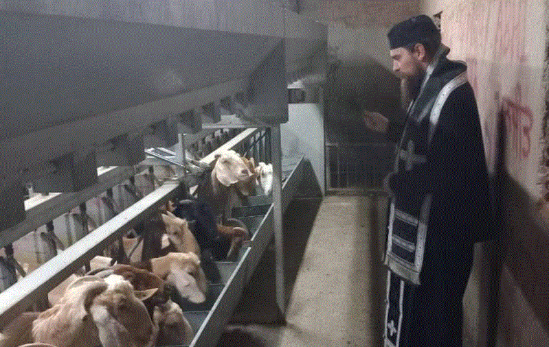 ΠΑΛΑΙΟΗΜΕΡΟΛΟΓΙΤΕΣ 2