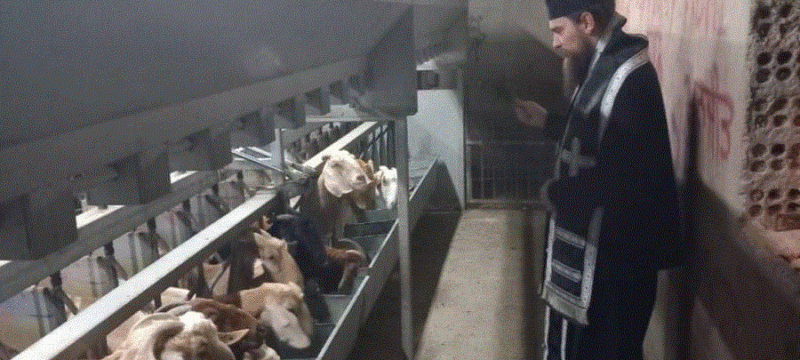 ΠΑΛΑΙΟΗΜΕΡΟΛΟΓΙΤΕΣ 2