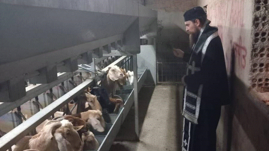 Έρευνα της Αστυνομίας για τους Παλαιοημερολογίτες της Αραδίππου