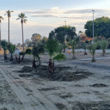 ΠΡΑΣΙΝΕΣ ΠΑΡΑΛΙΕΣ