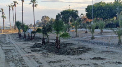 ΠΡΑΣΙΝΕΣ ΠΑΡΑΛΙΕΣ