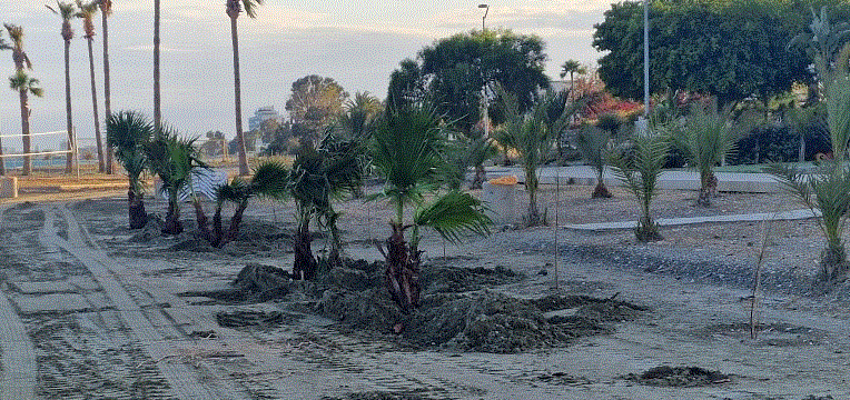 ΠΡΑΣΙΝΕΣ ΠΑΡΑΛΙΕΣ