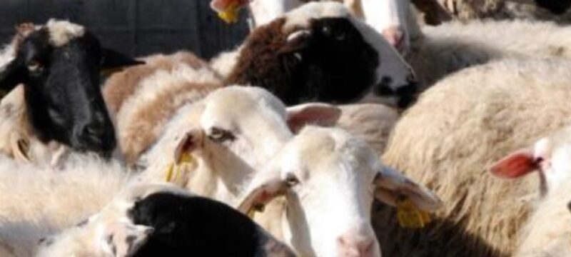 ΠΥΡΕΤΟΣ-854×480