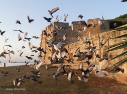 ΦΩΤΟΓΡΑΦΙΚΟΣ ΓΥΡΟΣ 2