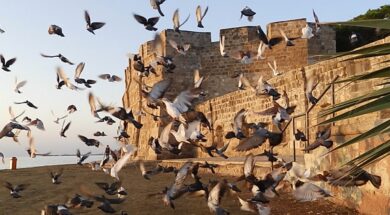 ΦΩΤΟΓΡΑΦΙΚΟΣ ΓΥΡΟΣ 2