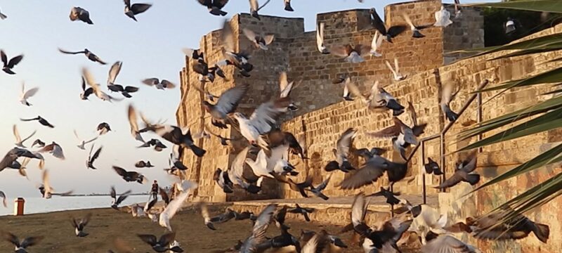 ΦΩΤΟΓΡΑΦΙΚΟΣ ΓΥΡΟΣ 2