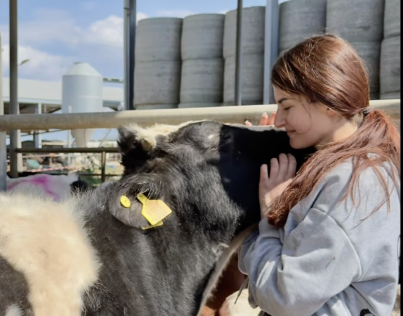 &laquo;&Sigma;ή&mu;&epsilon;&rho;&alpha; &chi;ά&theta;&eta;&kappa;&alpha;&nu; 500 &psi;&upsilon;&chi;έ&sigmaf;&raquo; &ndash; &Eta; &sigma;&upsilon;&gamma;&kappa;&lambda;&omicron;&nu;&iota;&sigma;&tau;&iota;&kappa;ή &mu;&alpha;&rho;&tau;&upsilon;&rho;ί&alpha; 25&chi;&rho;&omicron;&nu;&eta;&sigmaf; &kappa;&tau;&eta;&nu;&omicron;&tau;&rho;ό&phi;&omicron;&upsilon; &alpha;&pi;ό &tau;&eta; &Delta;&rho;&omicron;&mu;&omicron;&lambda;&alpha;&xi;&iota;ά