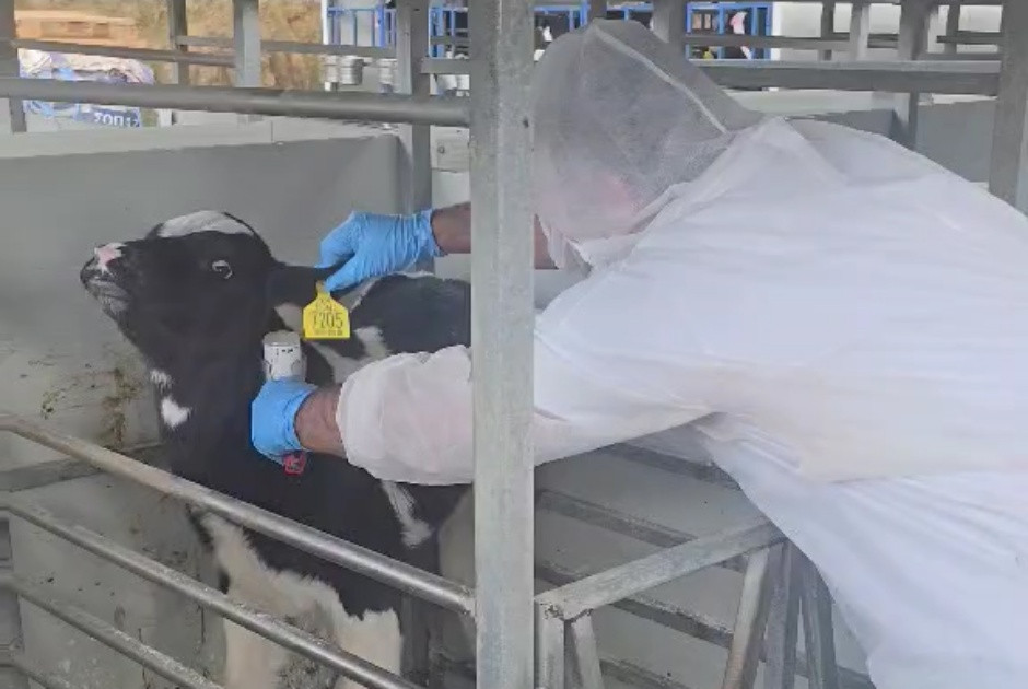 &Epsilon;&nu;&tau;ό&sigmaf; &tau;&eta;&sigmaf; &epsilon;&beta;&delta;&omicron;&mu;ά&delta;&alpha;&sigmaf; &eta; &omicron;&lambda;&omicron;&kappa;&lambda;ή&rho;&omega;&sigma;&eta; &epsilon;&mu;&beta;&omicron;&lambda;&iota;&alpha;&sigma;&mu;ώ&nu; &tau;&omega;&nu; &alpha;&iota;&gamma;&omicron;&pi;&rho;&omicron;&beta;ά&tau;&omega;&nu;