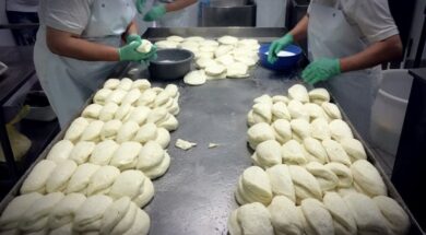 102902-0.halloumi-cyprus-7sdf-1