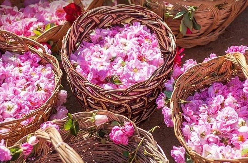 Το Φεστιβάλ Τριανταφύλλου στον Αγρό ανακοίνωσε ημερομηνία