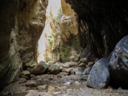 161-1600×1200-1024×683