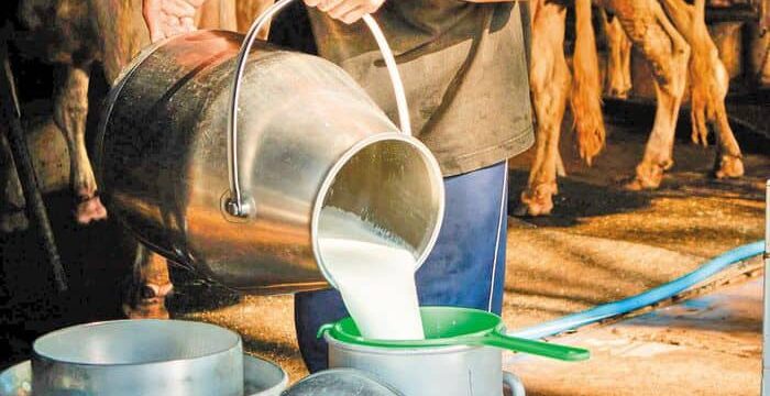 293945344_277545634588173_4799140763734328078_n1 (1)