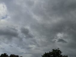 3aee66eb-72f5-499a-ab36-0b6f5b92246d