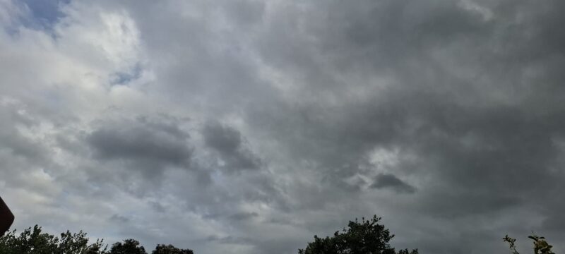 3aee66eb-72f5-499a-ab36-0b6f5b92246d