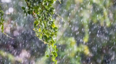 3b4965b2ab06fb517698feb72bd32473