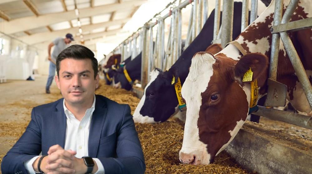 Ανησυχία στην γαλακτοβιομηχανία για τον αφθώδη πυρετό – Δεν επηρεάστηκαν χαλλούμι και διαθεσιμότητα γάλακτος