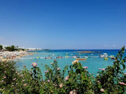 458351749_2323594801319531_6430485624515159733_n