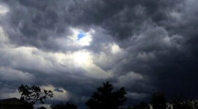 52F90A24-4EA8-4784-944E-23C23E283800