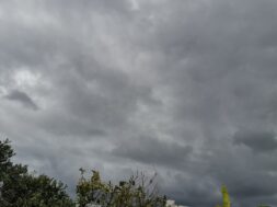 56e71f04-2f9f-42ce-9d94-e69f80877a02