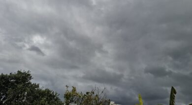 56e71f04-2f9f-42ce-9d94-e69f80877a02