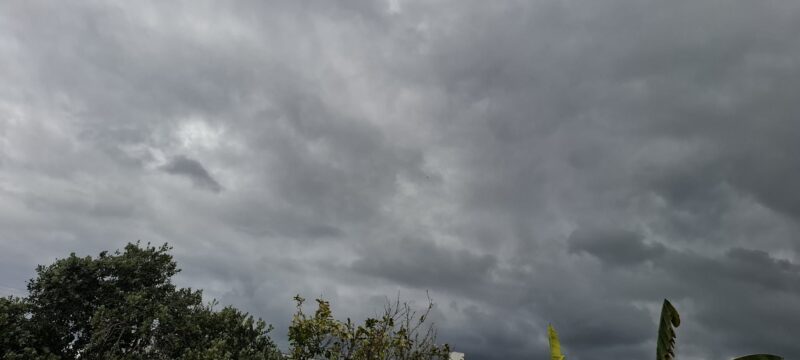 56e71f04-2f9f-42ce-9d94-e69f80877a02